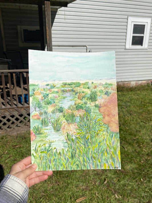 Spot by the Side of the Road