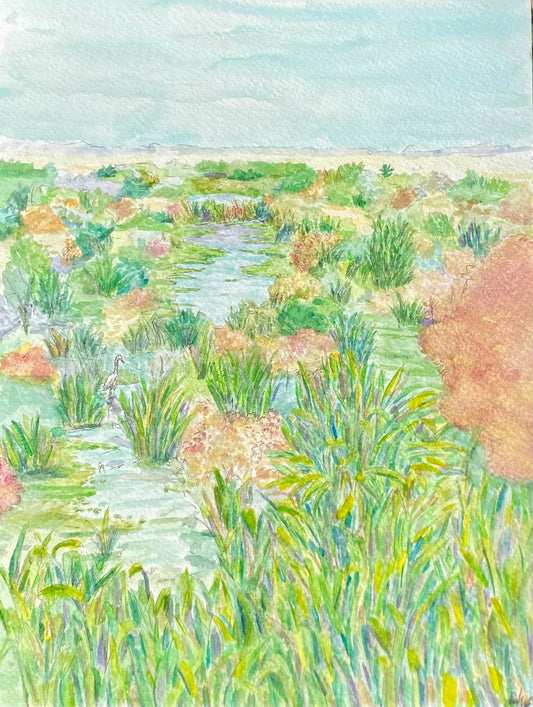 Spot by the Side of the Road